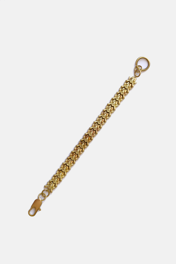 Vertebrate Chain Bracelet