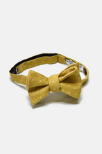 Yellow Polka Dot Bow Tie